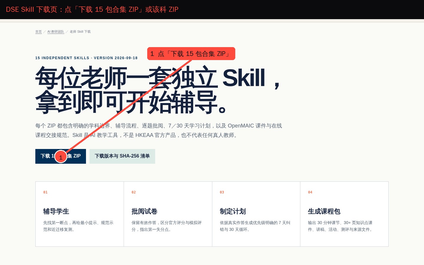 DSE Skill zip 下载页